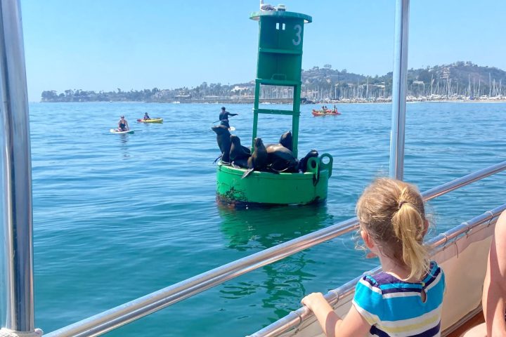 a group of people sitting on a dock next to a body of water