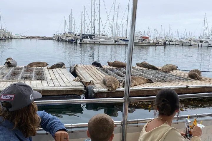 a group of people standing on a bridge